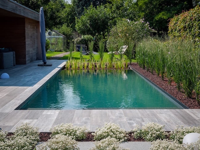 Piscine naturelle avec lagunage